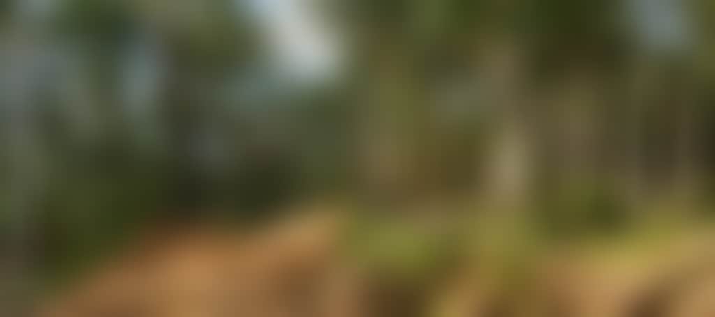 Lone jumper on Omeo MTB dirt track