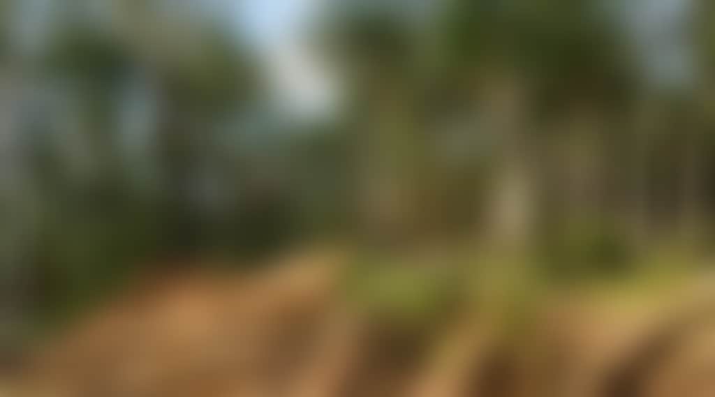 Lone jumper on Omeo MTB dirt track