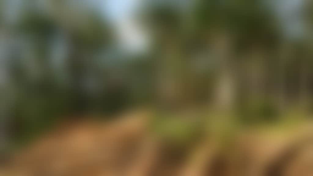 Lone jumper on Omeo MTB dirt track