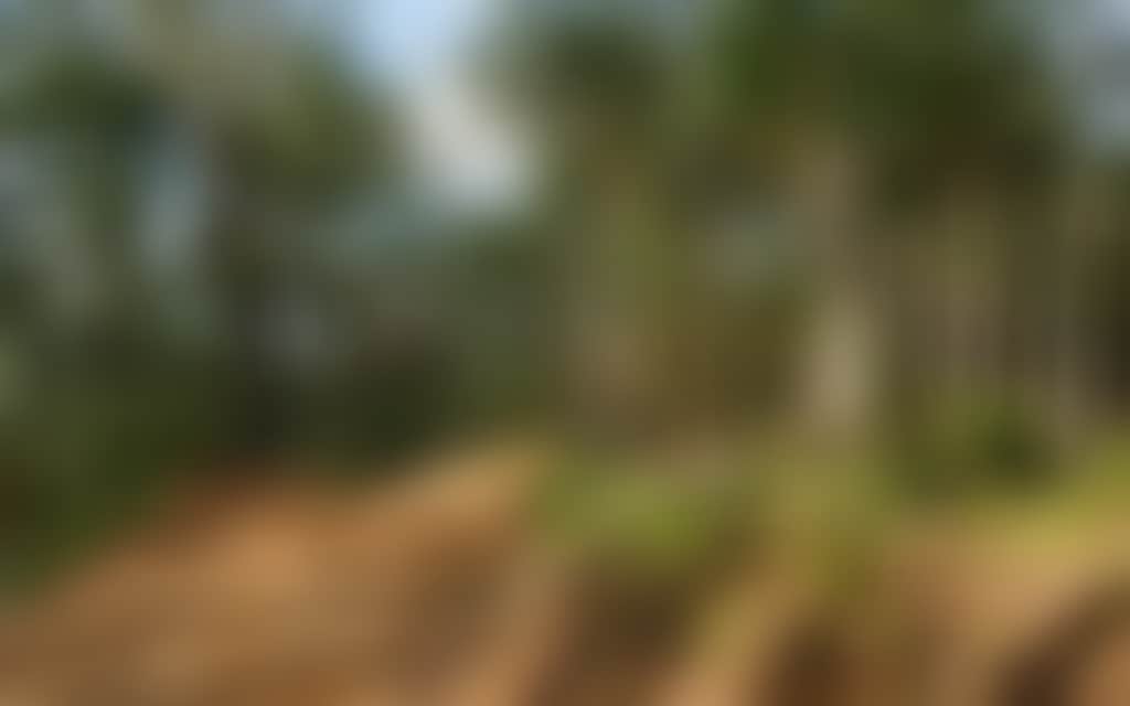 Lone jumper on Omeo MTB dirt track