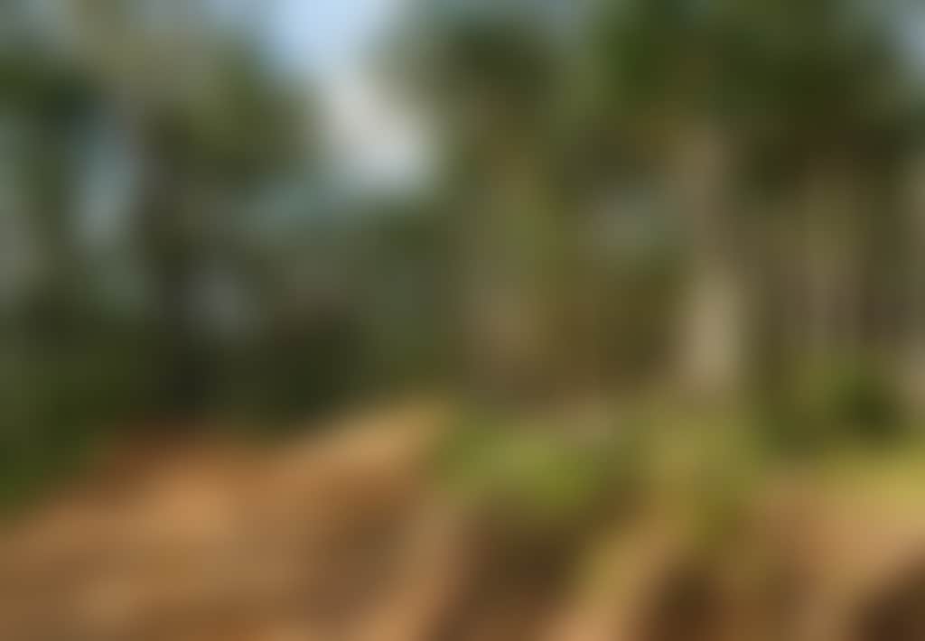 Lone jumper on Omeo MTB dirt track