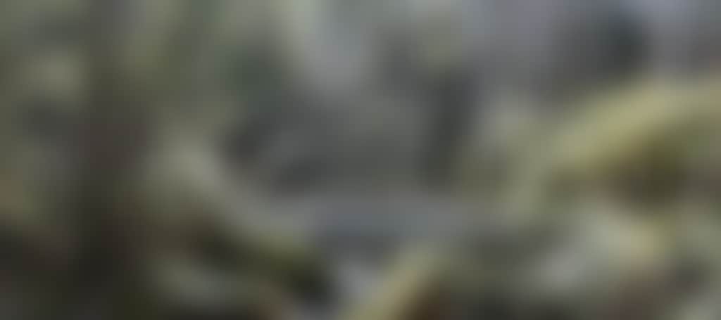 F547Ec01D4E5Eee3Bb45Cd0251Bcc48A