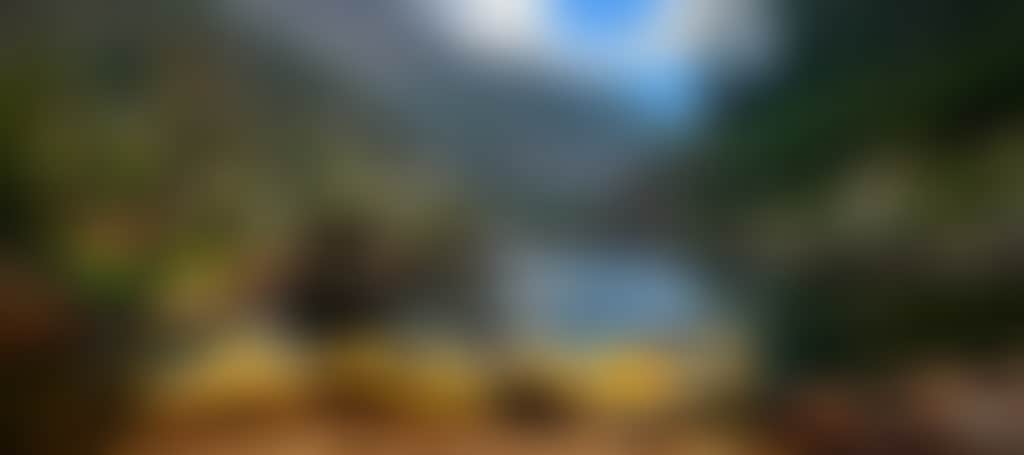 C6D394A811D000B6De180516E1455459