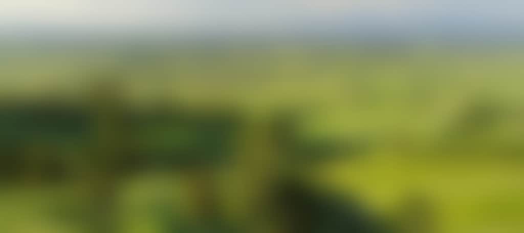 Yarragon views of rolling green hills dotted with trees