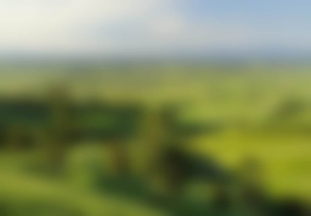 Yarragon views of rolling green hills dotted with trees