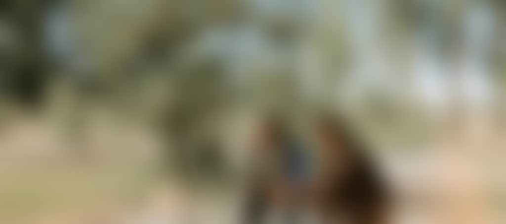 60F24202940Dc3878Cb0F41B2B0Ac8Fd
