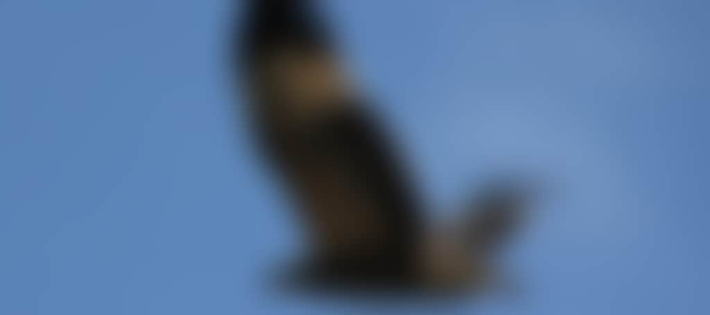 5C17D308480D9Bfb2F59628E66C9C33A