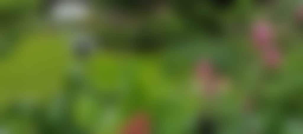 9Ce1Ea4B2E7919364Ba5C33749E0B956