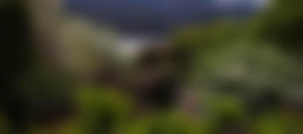 Broughton Hall Jindivick view of mountains lake over flowering trees hero