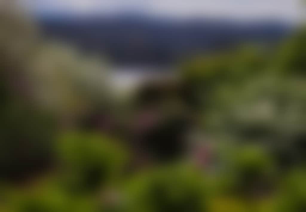 Broughton Hall Jindivick view of mountains lake over flowering trees hero