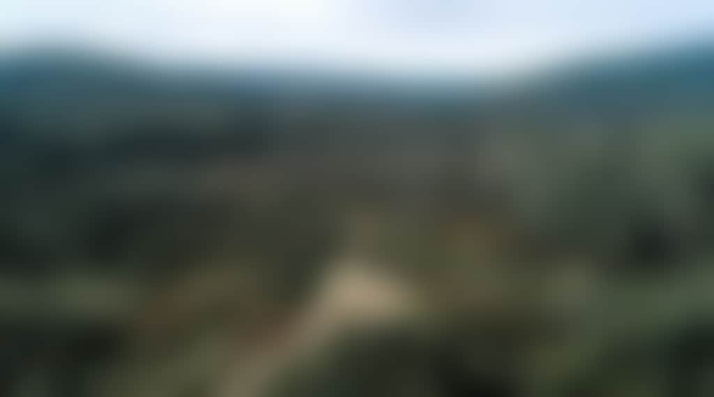 7A2341291F17010357A215Cbb9003860