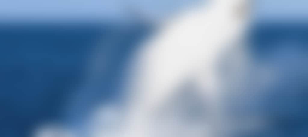 C656Fb1E7E350174F1Ffcc5E1637Ba90