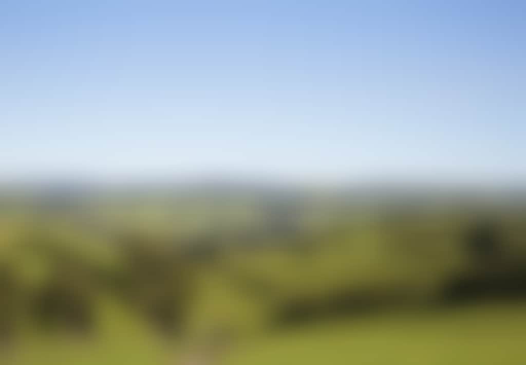 Hills Green Paddock Near Meeniyan Mirboo North Road