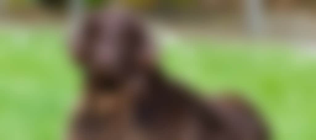 A4F203D5D73F07D140650A76D453Edfe