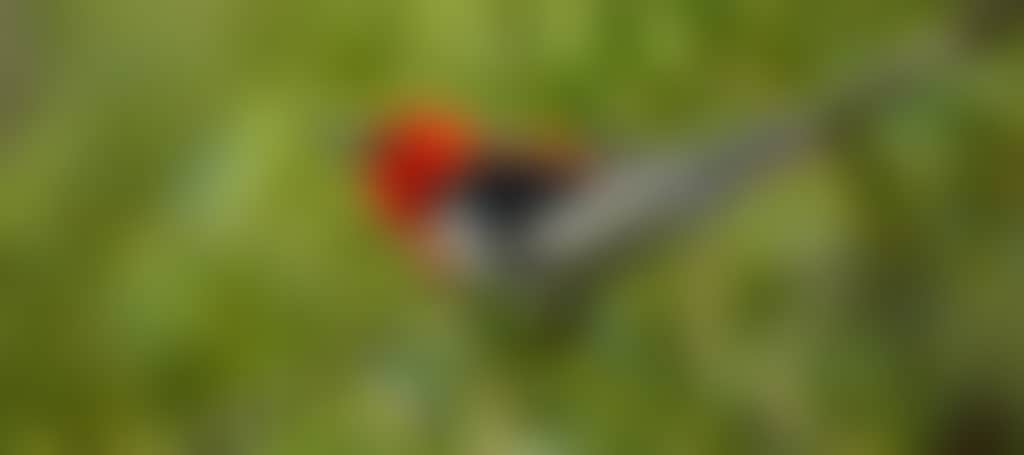 Original__9149766_Bo62_Dsc_0081_9196_5W15X5V