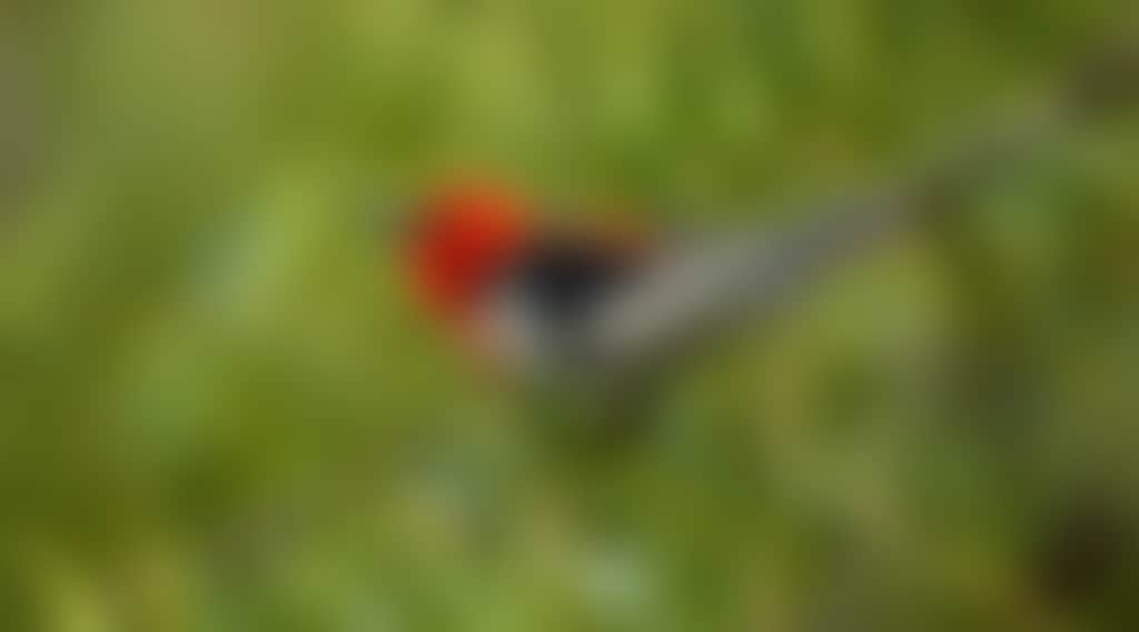 Original__9149766_Bo62_Dsc_0081_9196_5W15X5V