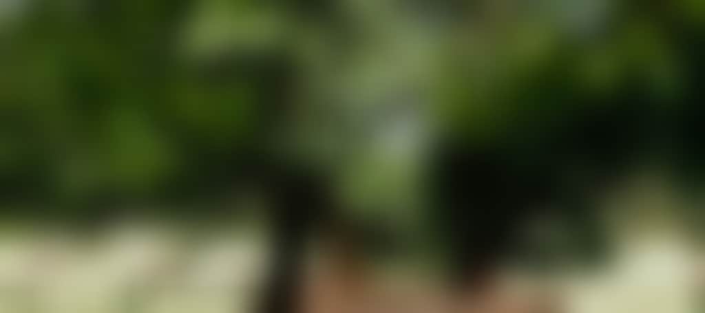 8F2F02A1E6115E47C806C9575196Fe47