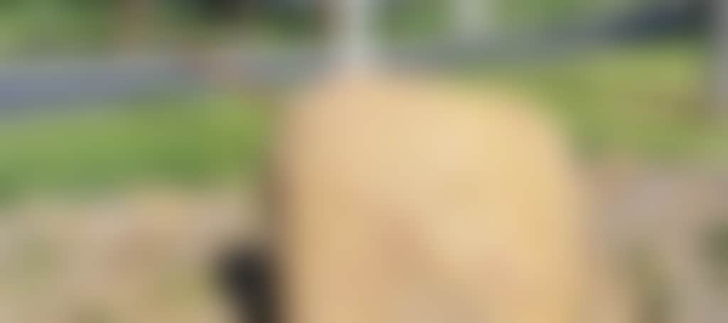 8F1E51B6C4D4F06D3576Ef0685A55659