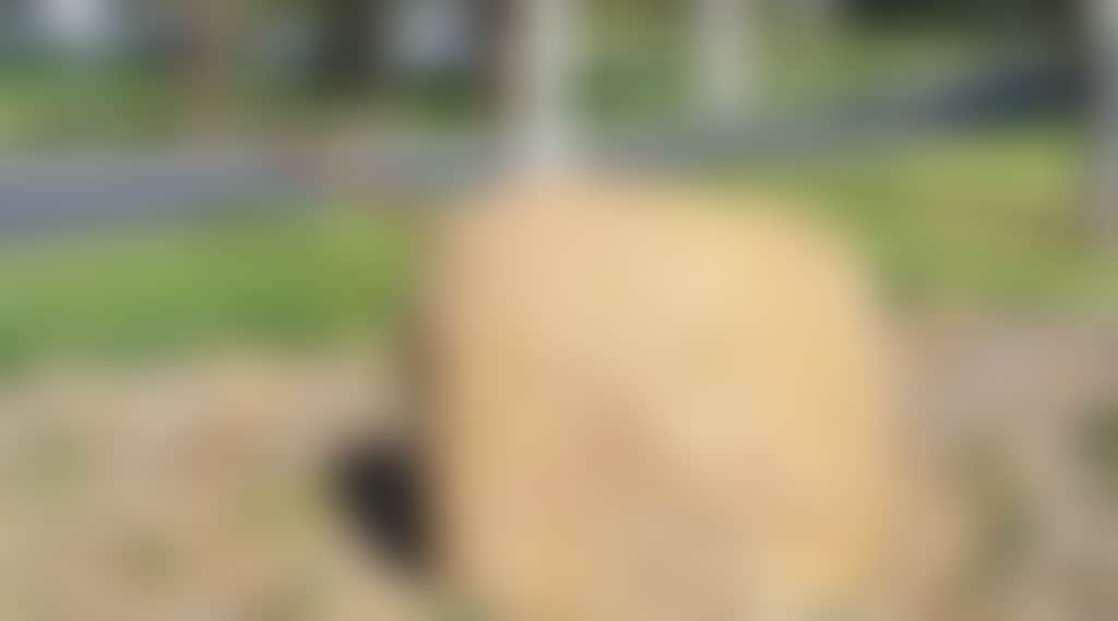 8F1E51B6C4D4F06D3576Ef0685A55659