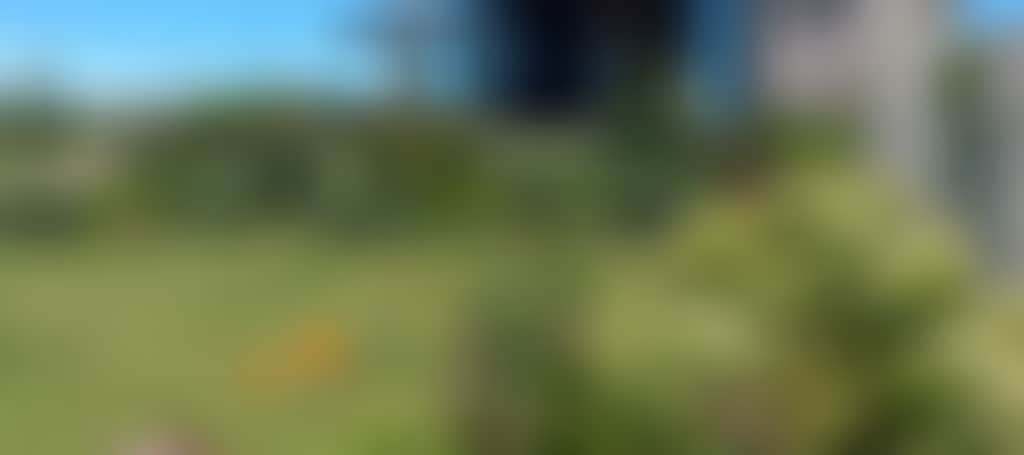 15Aab9C28E398A6176047F7Bd0094864