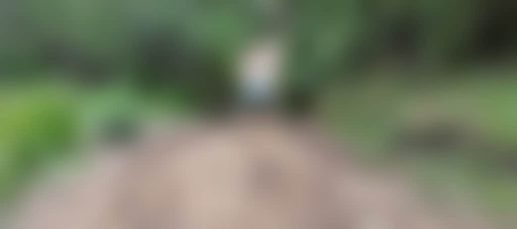 B43Fff77D80Cd929B07256Be3D05C039