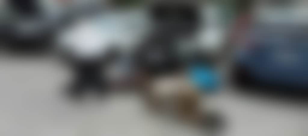 33Cab4C2A7010794A26913E7F4452911