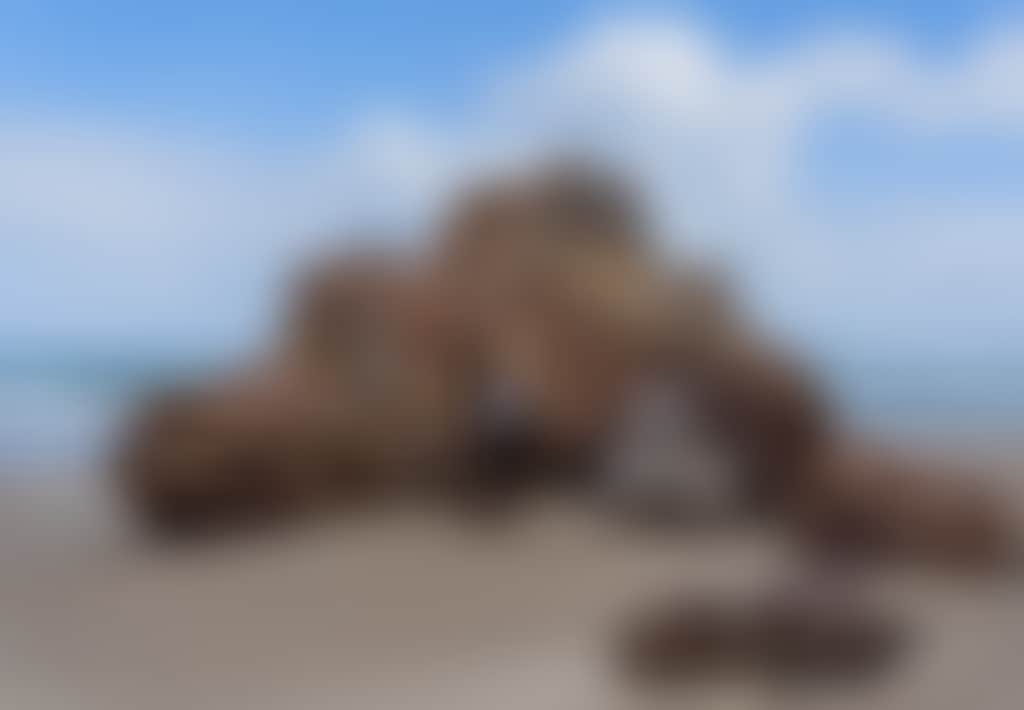 Betka Beach Mallacoota man standing in front of rock on sand