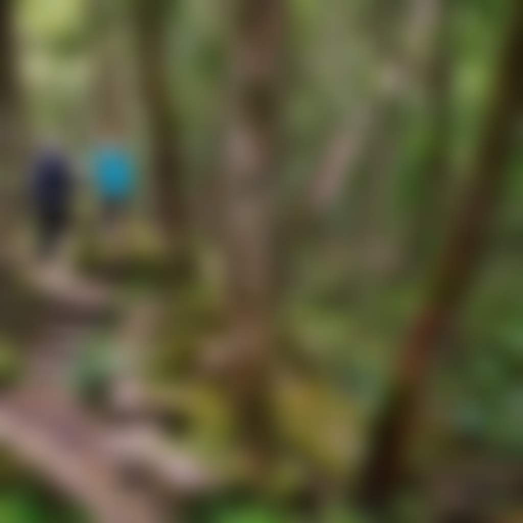 Mitchell River National Park Den of Nargun Loop Walk mum and child on rocks in rainforest gully 1