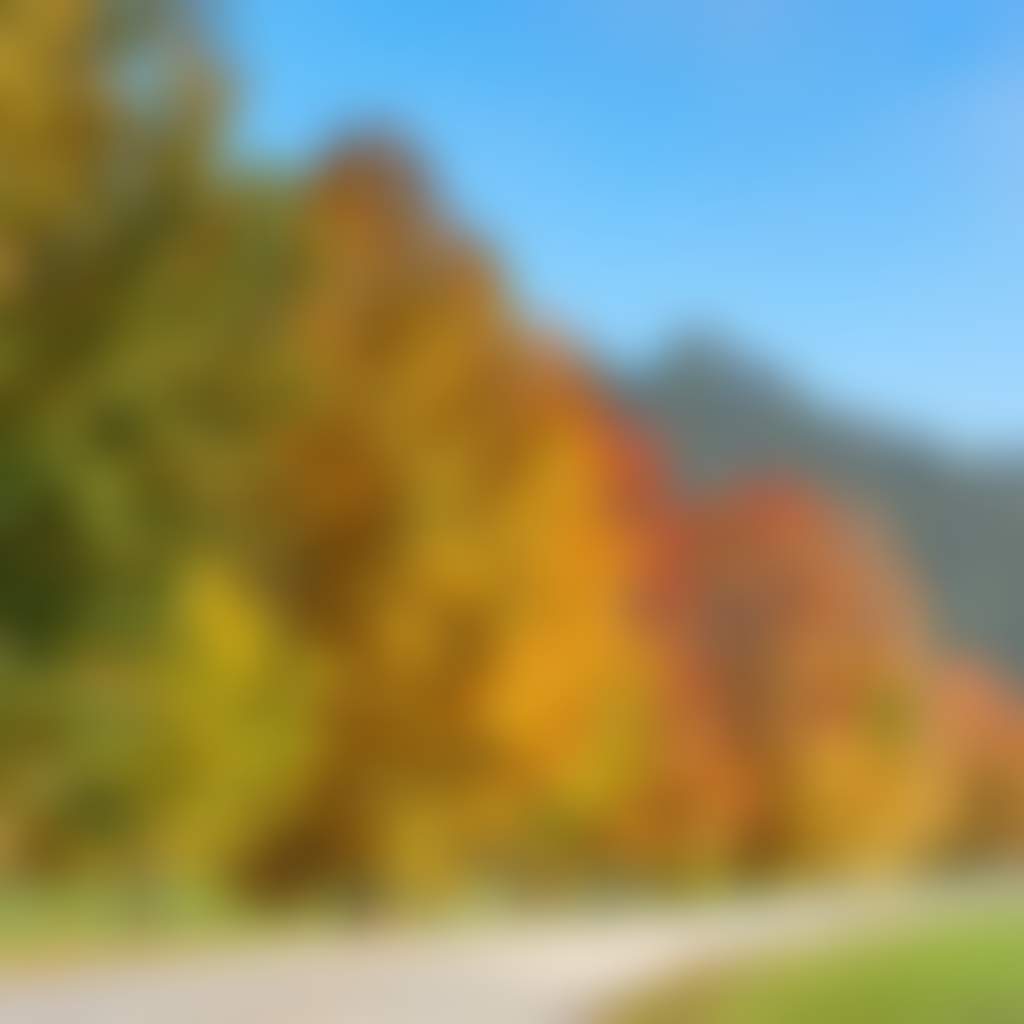 Buchan Line of Autumn Trees