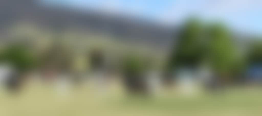 2Af7Bcdcc297422A941B3708Eef23Ead