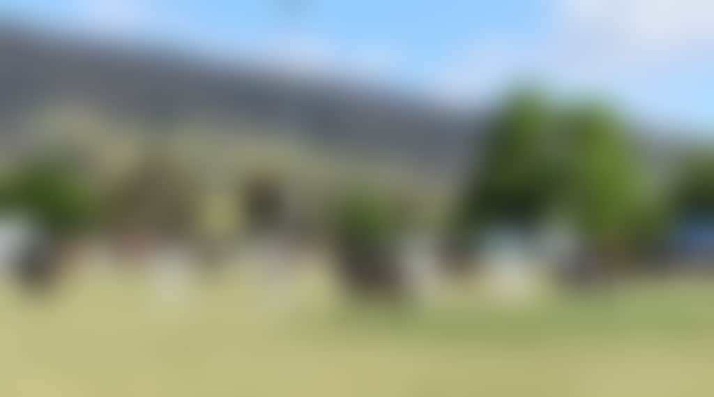 2Af7Bcdcc297422A941B3708Eef23Ead