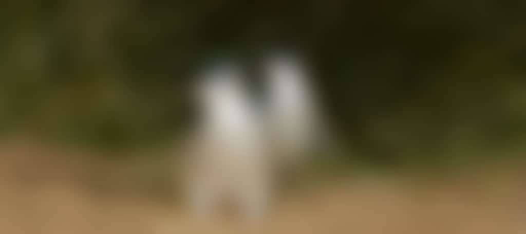 E4Cc3F27834Ce4910E3Bc98643Bc32B9