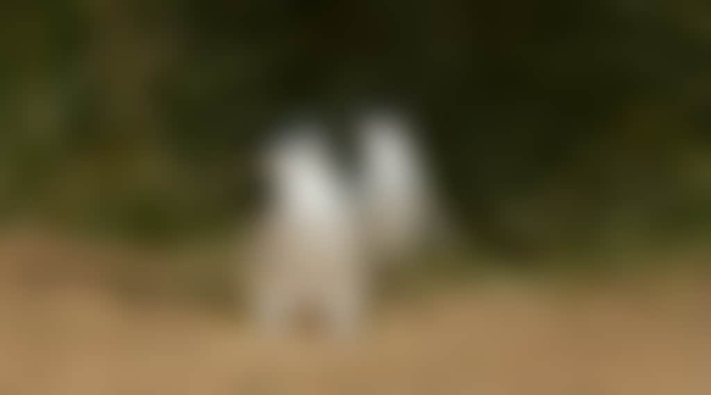 E4Cc3F27834Ce4910E3Bc98643Bc32B9