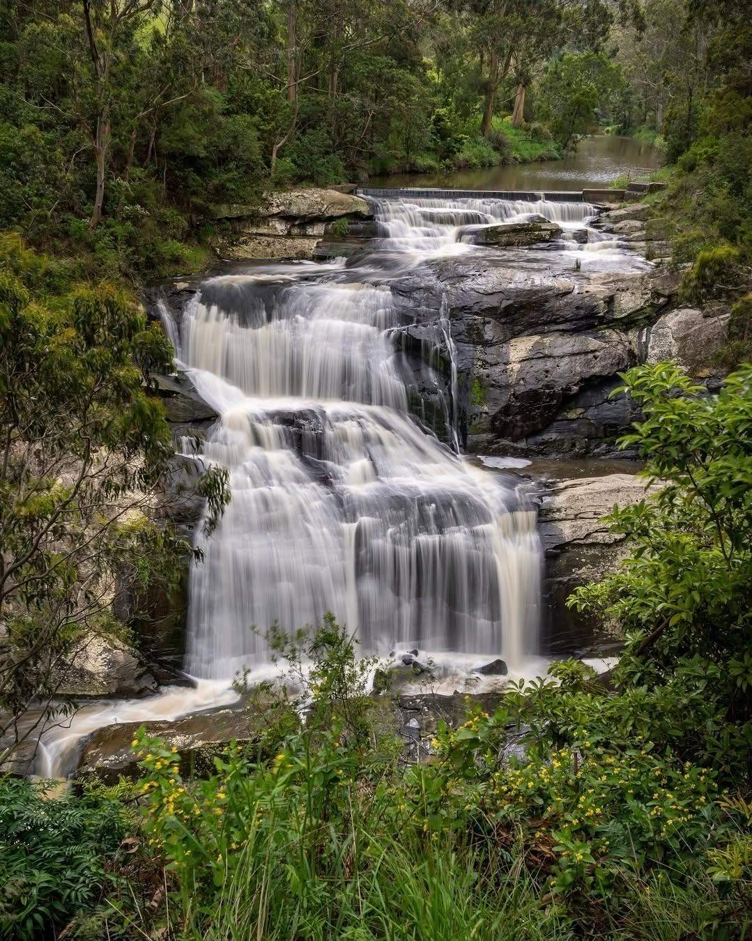 visitgippsland