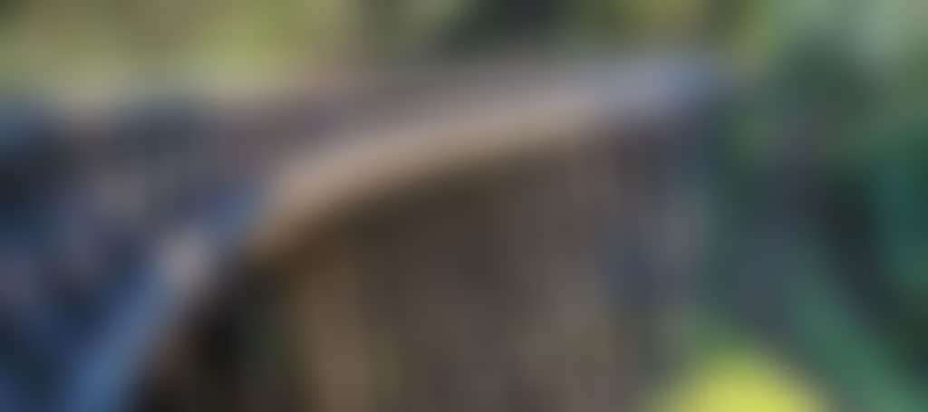 Noojee Family at Trestle Bridge 1 RESIZE