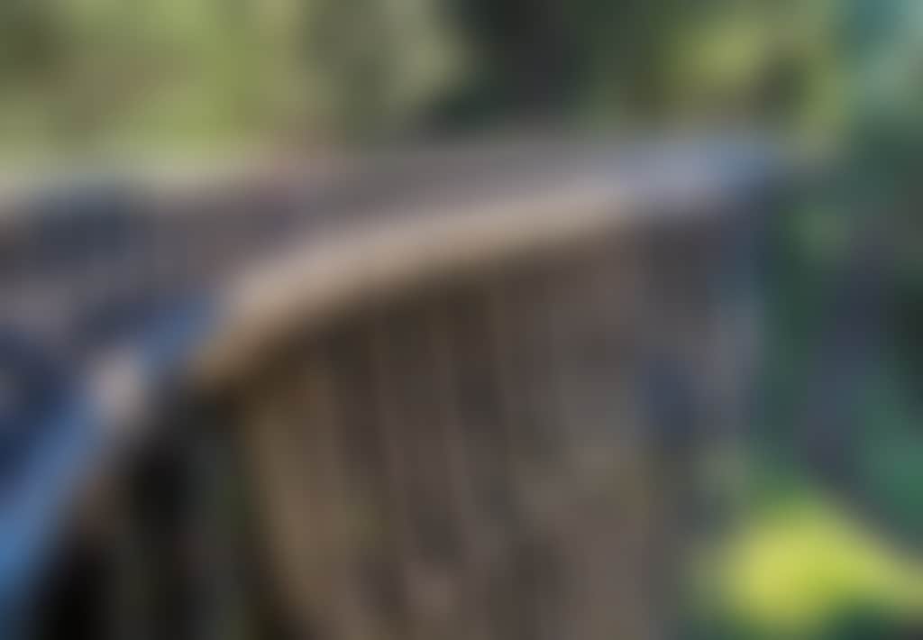 Noojee Family at Trestle Bridge 1 RESIZE