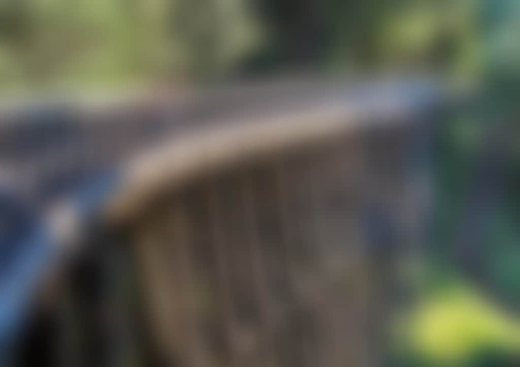 Noojee Family at Trestle Bridge 1 RESIZE