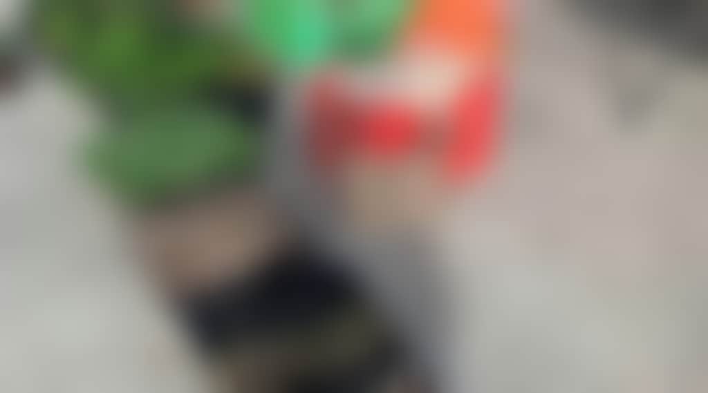 A6Bb5Fd65219D5A9Ae5A83Eb09E0282A