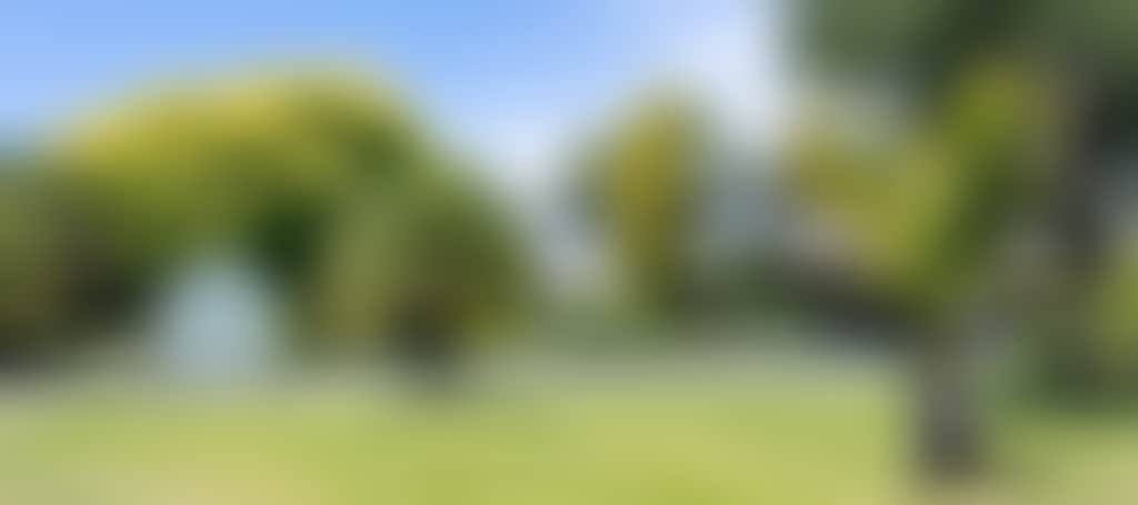 517Cf124C1C83A11Be4Dc0B193B3Fa5C