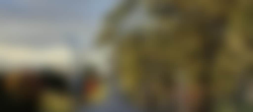 Ad9D73E936D046Ece454B83Ca186A8D2
