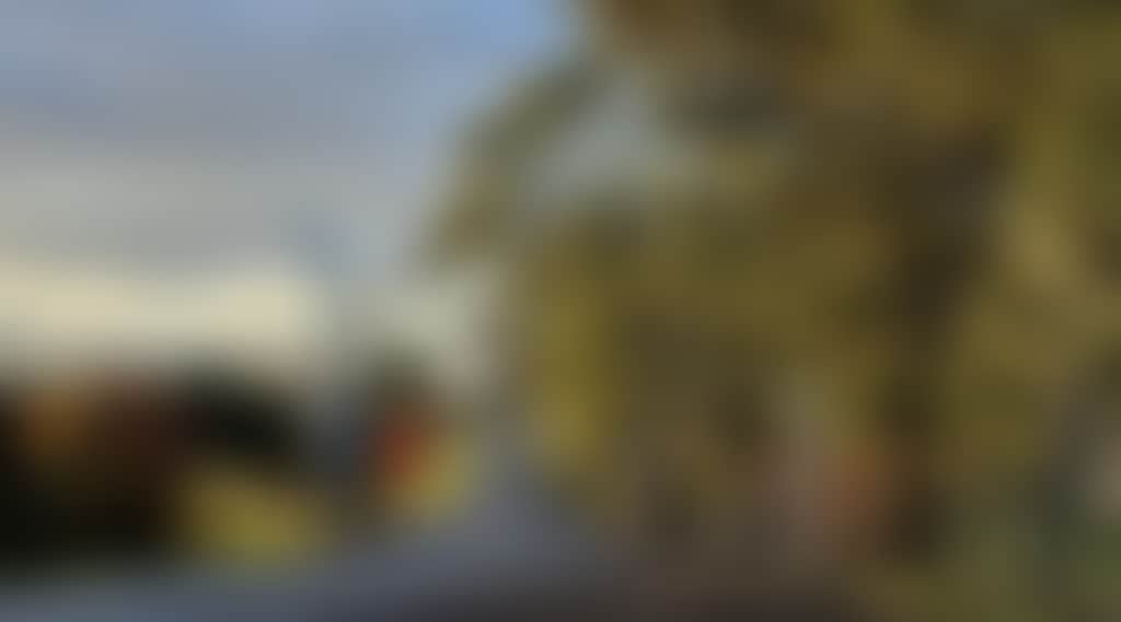 Ad9D73E936D046Ece454B83Ca186A8D2