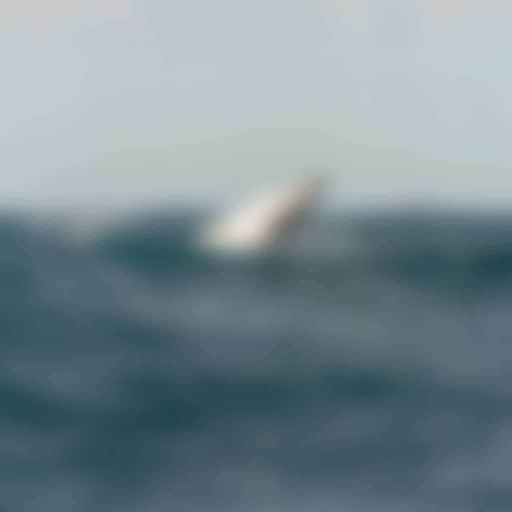 9Eb25C7359033Ed1D3870E7Cc2F14574