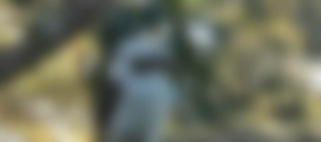4Acdd1862E8F4230D2E8A3Ee0C1870D3