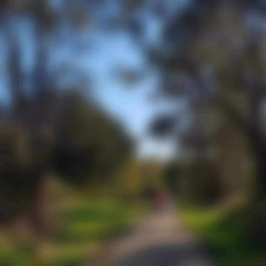 Lone Cyclist on the Tarra Trail Great Southern Rail Trail
