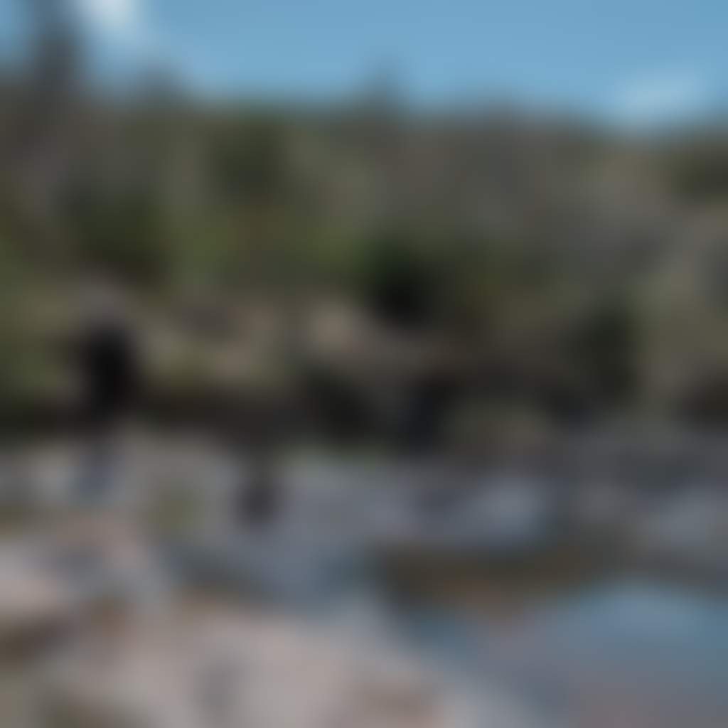 Woman standing on rocks beside river at Little River Falls
