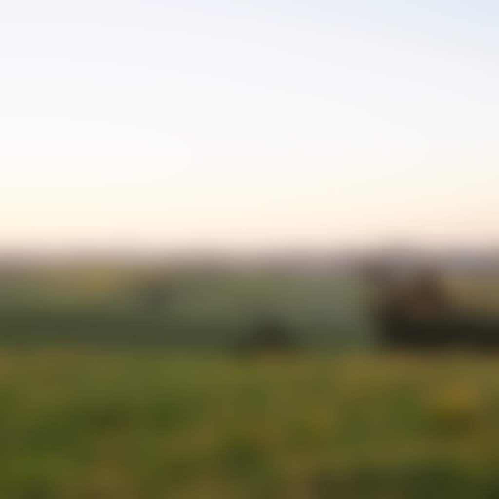 Paddocks and rolling hills at sunrise in Mirboo North