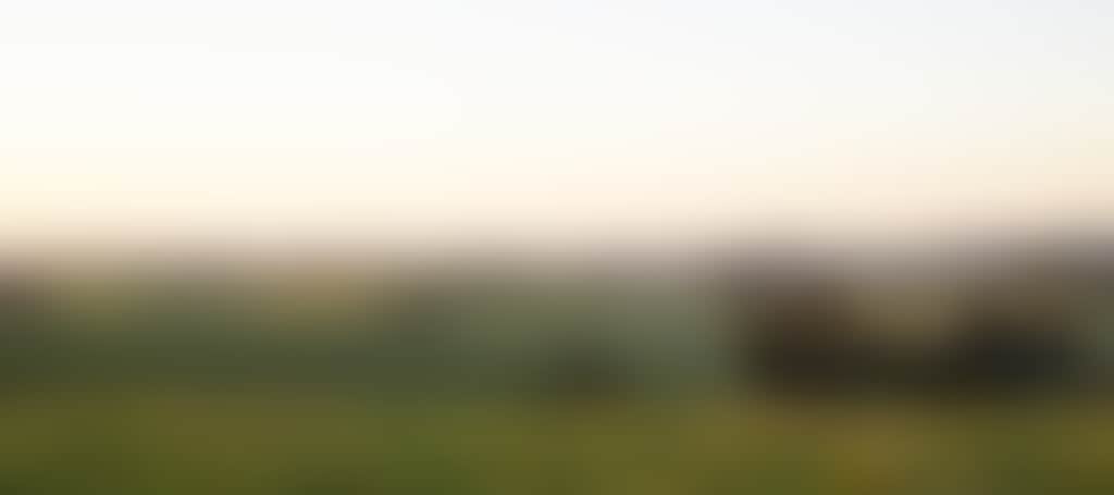 Paddocks and rolling hills at sunrise in Mirboo North
