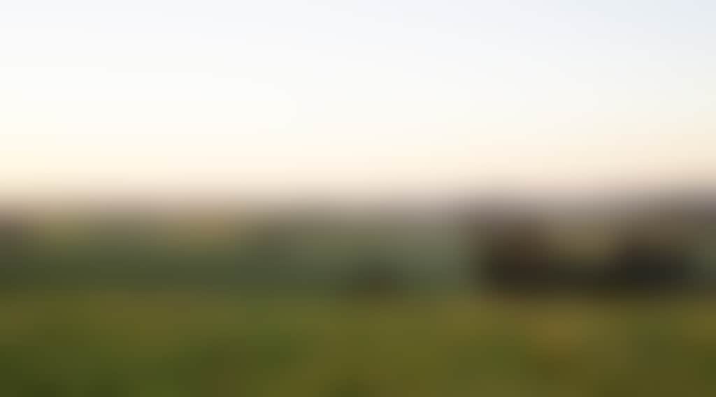 Paddocks and rolling hills at sunrise in Mirboo North
