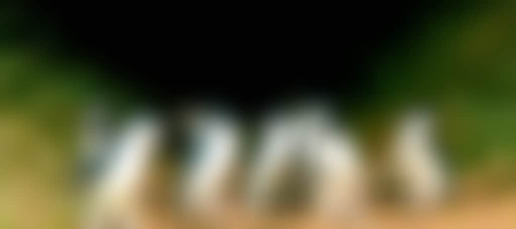 8E7B4E934B2589B8A441C982D8Ec4557