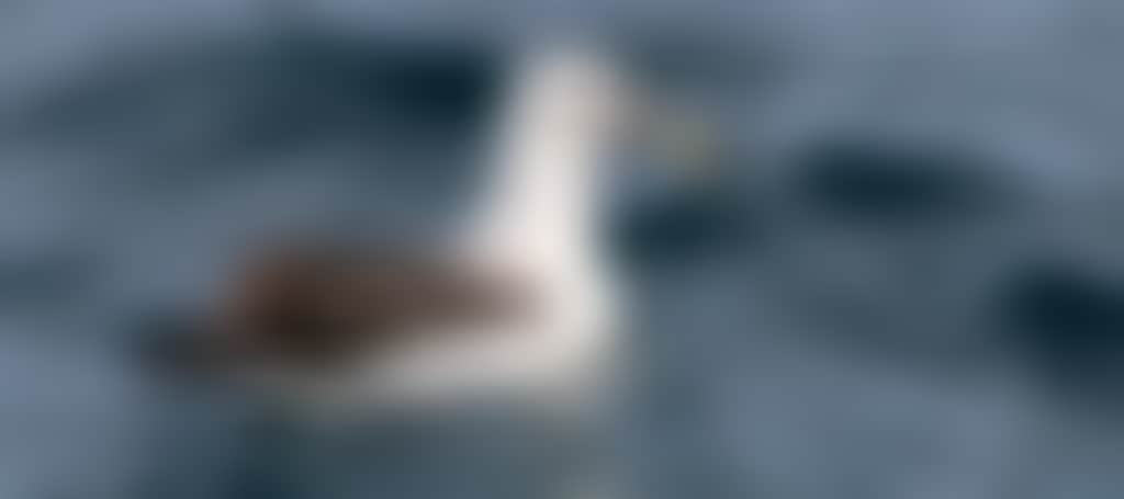 78D7023F68Ab6A1Fb61942B07F2D672D